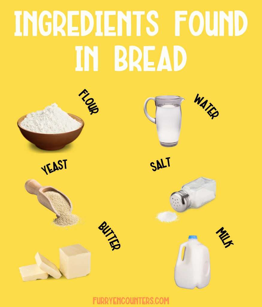 ingredients found in bread