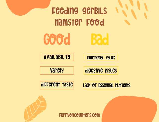 hamster food for gerbils