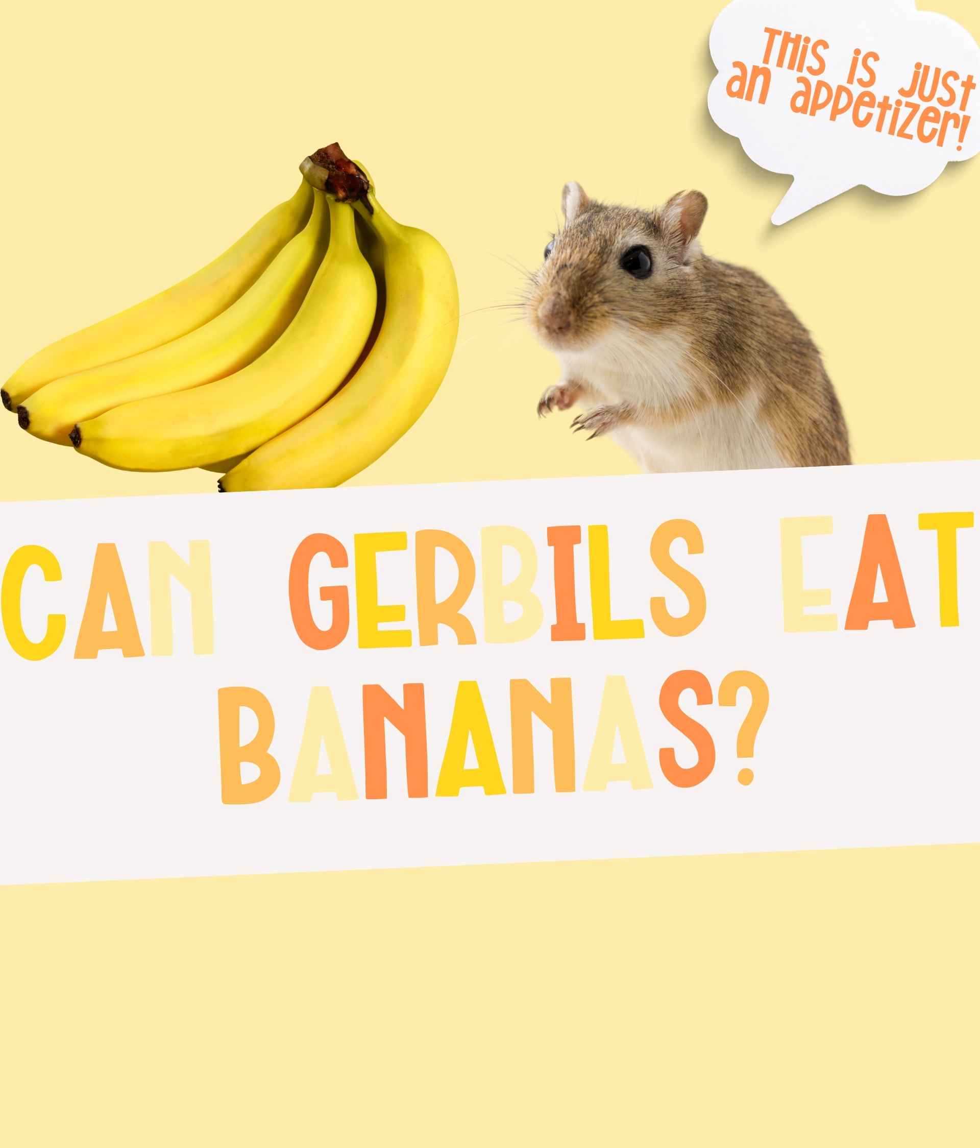Can Gerbils Eat Bananas? The Truth About This Sweet Fruit!