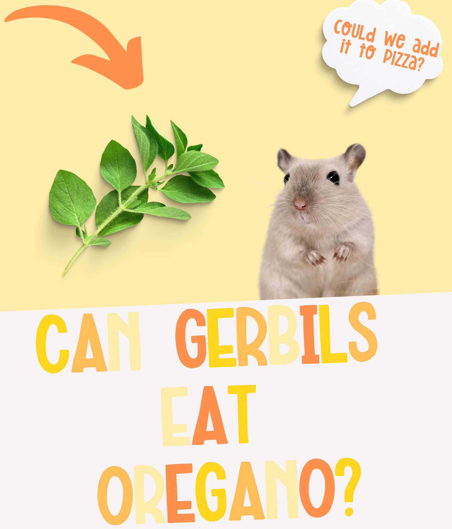 Can Gerbils Eat Oregano and is it Safe?