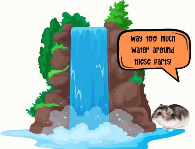 hamster at waterfall